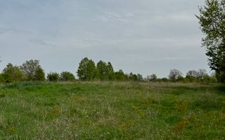 TEREN INTRAVILAN, 7472 MP, VALEA MARE PRAVAT, ARGES - Poză 3