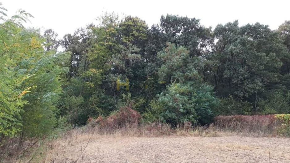 Teren Gruiu sat Lipia - Poză 3