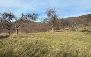 Teren  extravilan I 5300 mpI  Salatrucel -Calimanesti - Poză 1