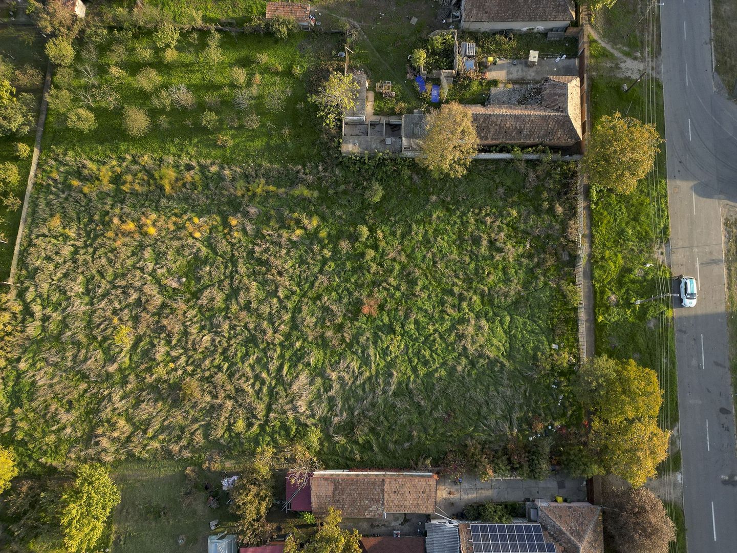 Teren pentru investiții în Gai - Poză 4