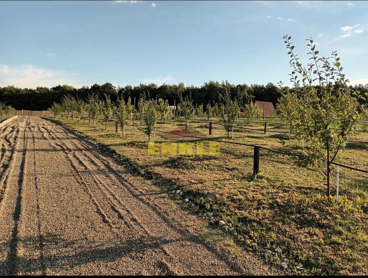 Teren intravilan 8300 mp la Agafton - Poză 1
