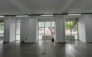 Spatiu Comercial | 261 mp | 20m Vitrina | Tineretului | Parc Carol - Poză 3
