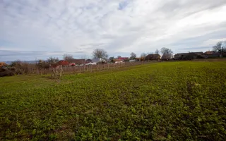 Casa si teren 3365mp Sascut - Poză 29