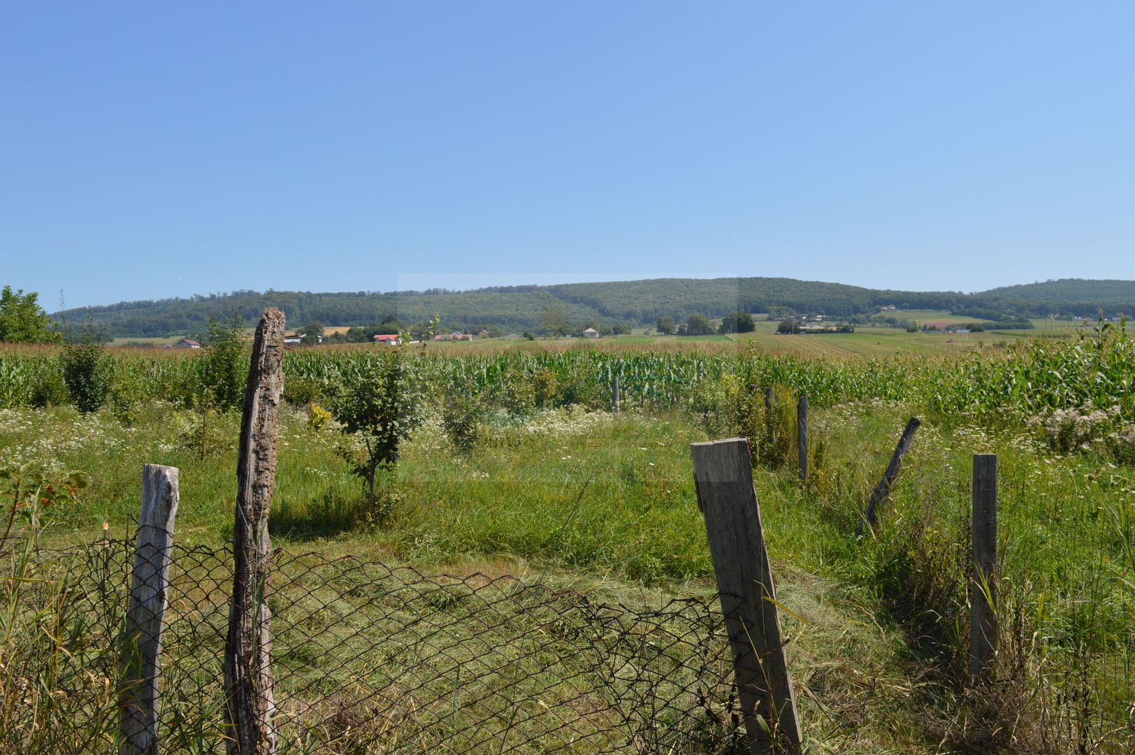 Casă 5 camere Siliștea Nouă/Suceava - Poză 8