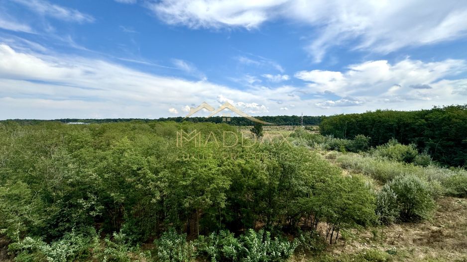 Studio Dublu *62.44mp* + Parcare // Baneasa Forest View - Poză 8