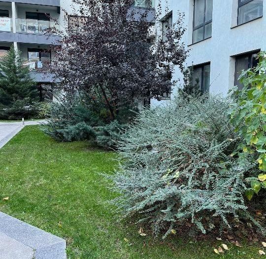 Spacious Apartment for Sale – Nord City, Porsche Pipera/Aviatiei Area - Poză 7