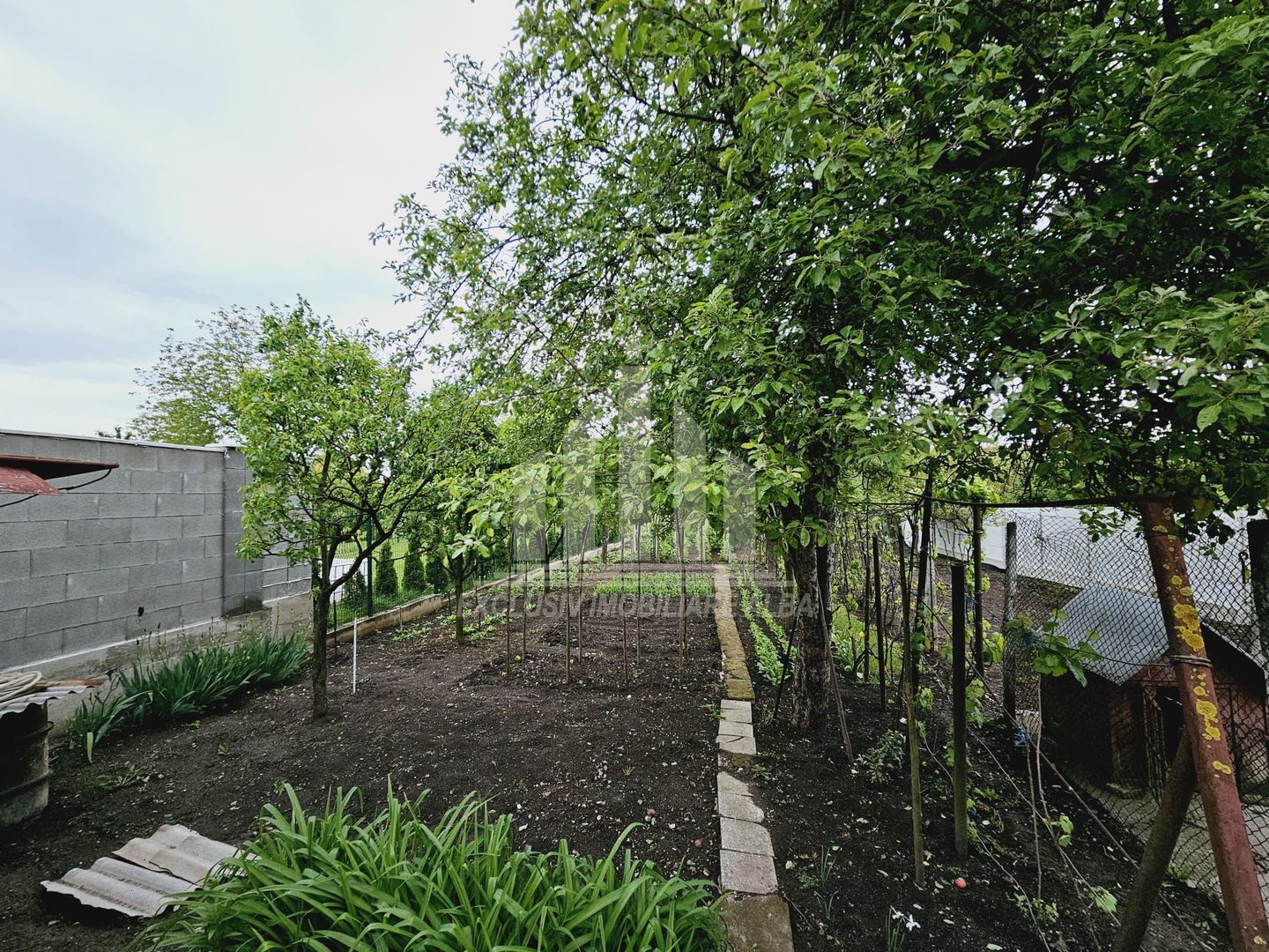 Casa individuala de vanzare, Cetate - Poză 13