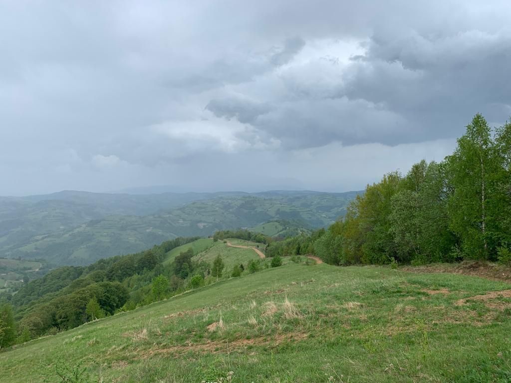 Teren extravilan 2ha, priveliste panoramica spre munti /Poiana Marului - Poză 8