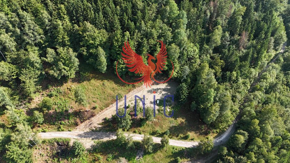 18000 mp de natura pura ,Lupeni, langa Straja - Poză 23