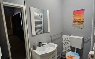 Garsoniera regim hotelier sau spatiu comercial 46 mp utili Terezian - Poză 2