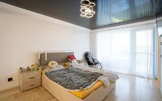 Vila 3 dormitoare matrimoniale Saldabagiu de Munte - Poză 15