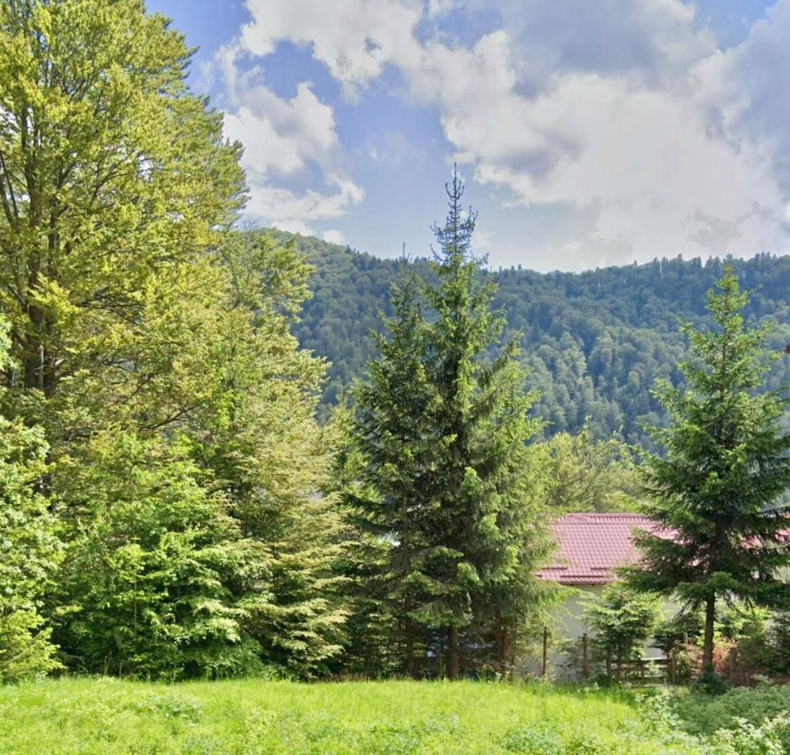 Casa de vacanta la liziera padurii cu vedere libera catre muntii Bucegi - Poză 17