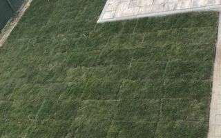 Vilă spațioasă Tunari | Curte mare | Complex închis - Poză 29