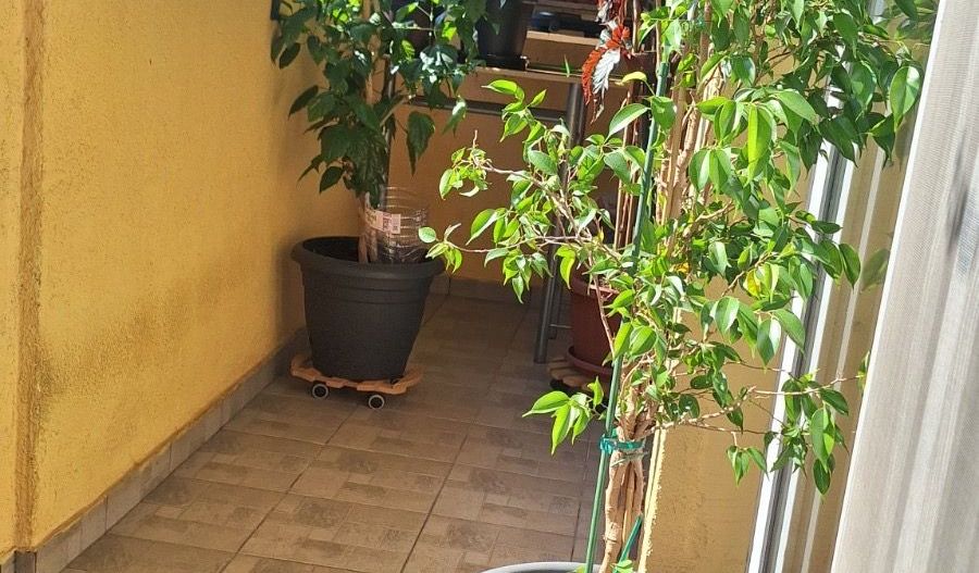 Apartament 2 camere cu POD generos 30mp- Selimbar, Triajului - Poză 16