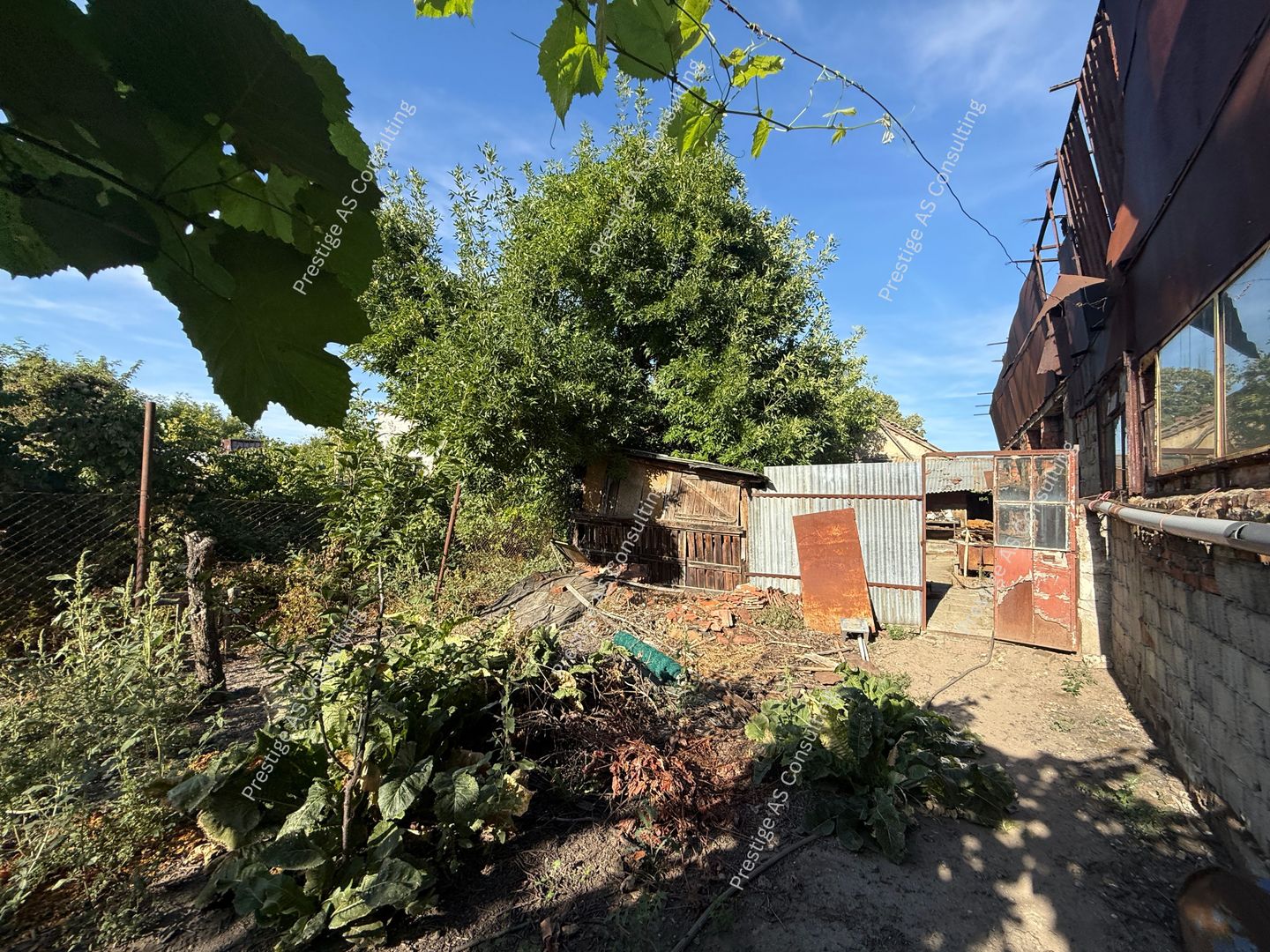 Casa cu 4 apartamente | Teren 762mp | Potential investitie | Iosefin - Poză 4