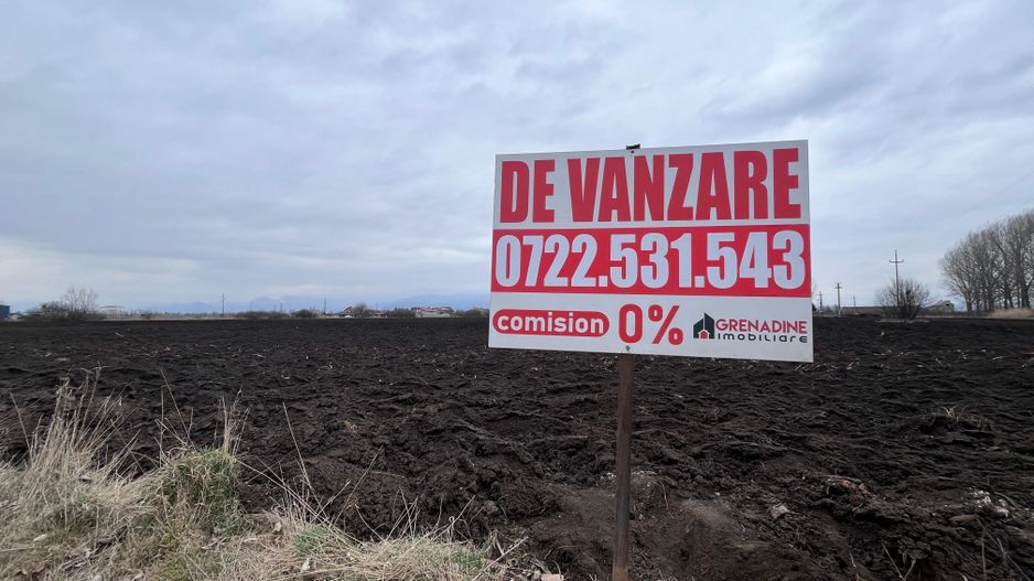 Teren 50000mp Extravilan-Intrare Halchiu-Cod 5235 - Poză 1