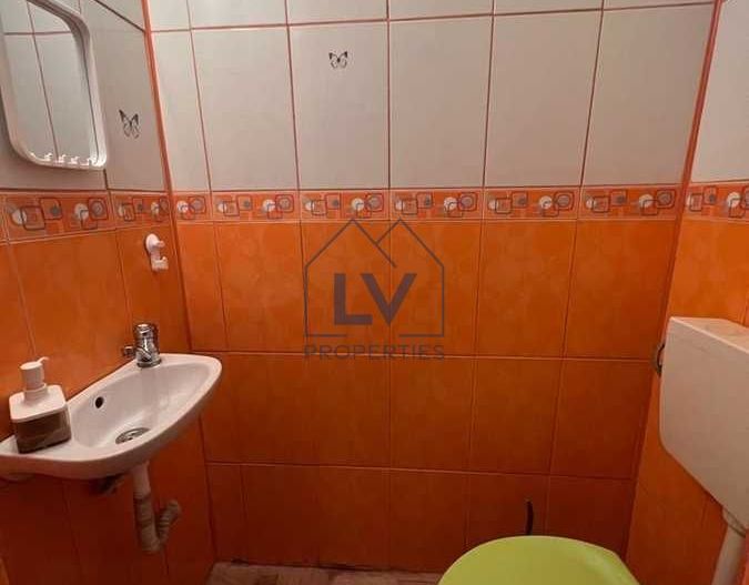 Stirbei Voda stradal- Schitu Magureanu- Cismigiu - Poză 8