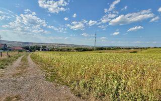 Oportunitate de investiție și dezvoltare – 11.600 mp | Jucu de Sus - Poză 6