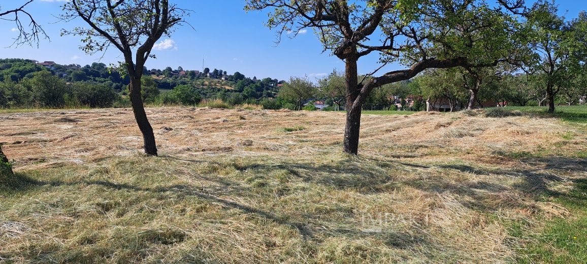 Teren Intravilan pentru Constructie | Potential Rezidențial | Feleacu - Poză 3