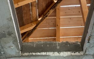 Individuala Parter Sanmihaiu Roman,4 Camere,2 Bai,Proiect Modern,Curte Amenajata - Poză 12