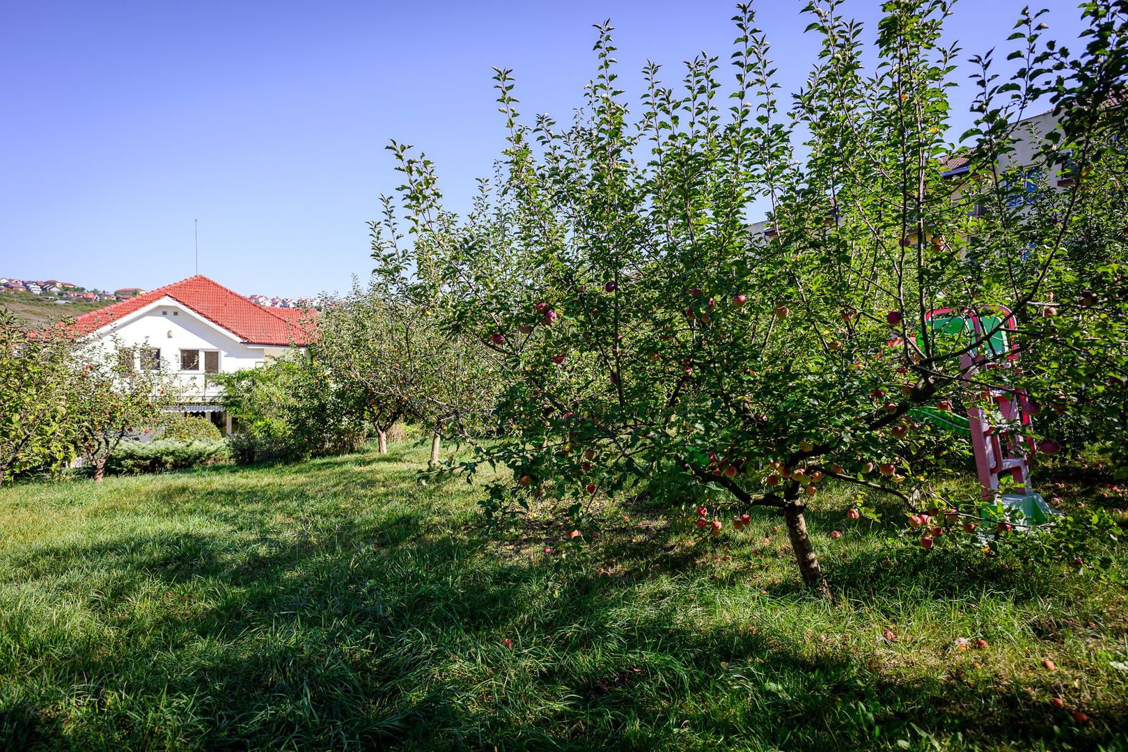 CASA Individuala ELEGANTA 280MP Teren 2150MP CAMPULUI - Poză 14