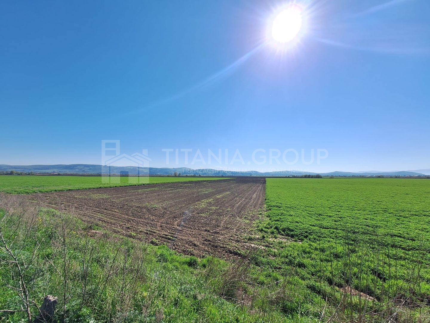 Teren extravilan, 8700 mp, pretabil agricultură sau investiție - Bod - Poză 5