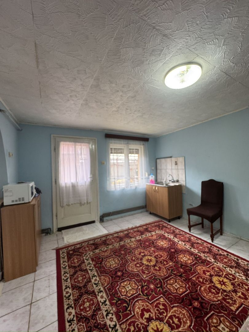 De vânzare Casă în Grădiște, curte + grădină proprie generoasă Arad - Poză 20