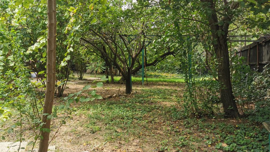 Cel mai ieftin teren central! -  strada Acvila nr 16.  -13 Septembrie - Poză 9