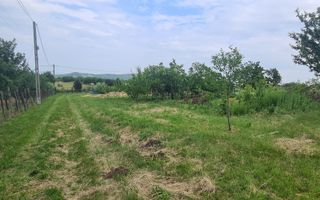 Casa + garaj + 5400 mp teren in Tomesti Goruni, zona de vis, nu rata - Poză 29