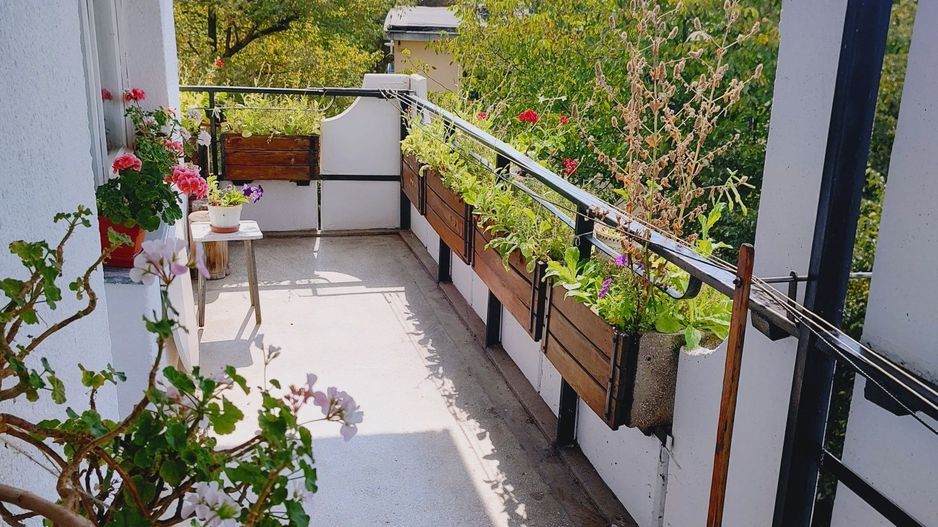 Apartament 3 camere zona UMF/Spitale - Poză 1