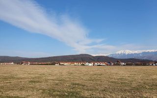 Teren extravilan-5.000 mp-Sura Mică. - Poză 2