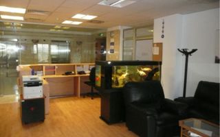 Vanzare partiala imobil de birouri 5 etaje din 7 - Poză 3