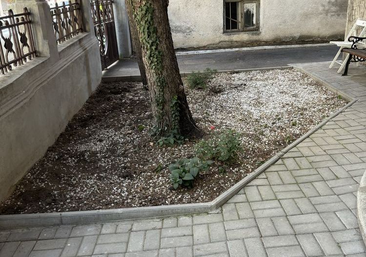 De vanzare Apartament 3 camere in Vila Interbelica Victoriei sect 1 - Poză 7