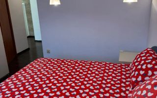 PET FRIENDLY apart 2 camere, 13 Septembrie/Drumul Sarii/Prosper - Poză 5