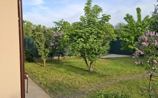 MOGOȘOAIA – VILĂ CU 4 CAMERE, TEREN 971 MP, CURTE ȘI GRĂDINĂ! - Poză 21