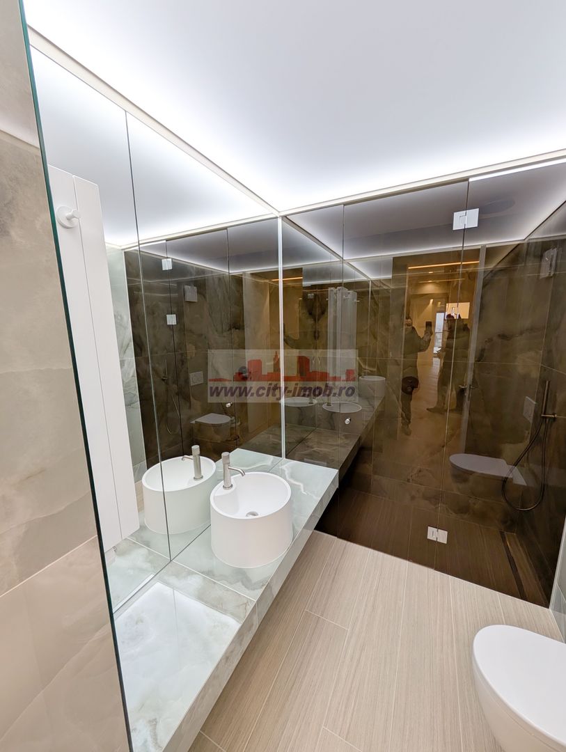 Innhiriere Penthouse Iancu Nicolae Gradina Zoologica - Poză 21