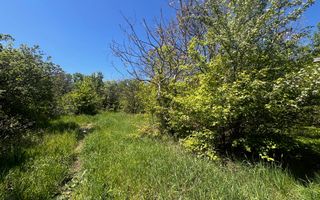 Teren intravilan/934 mp/Lenin Sud - Poză 3