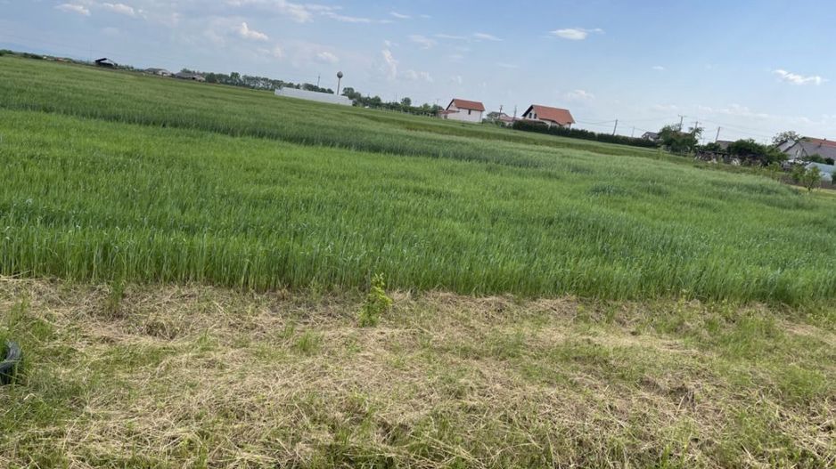 Teren intravilan - Poză 6