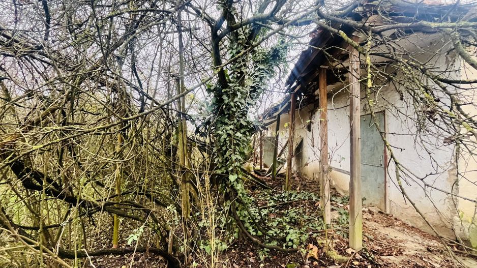 Casă cu teren de 1.463 mp în Ghizela, Timiș – Comision 0% - Poză 3