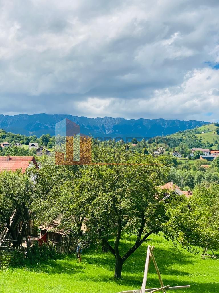 Teren 5879 mp + casa batraneasca Moieciu de jos - Poză 11