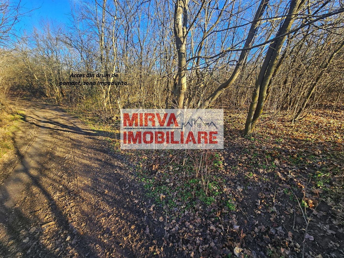 Teren intravilan 1.000 mp – Seciu, 2 deschideri, Priveliște panoramica - Poză 13