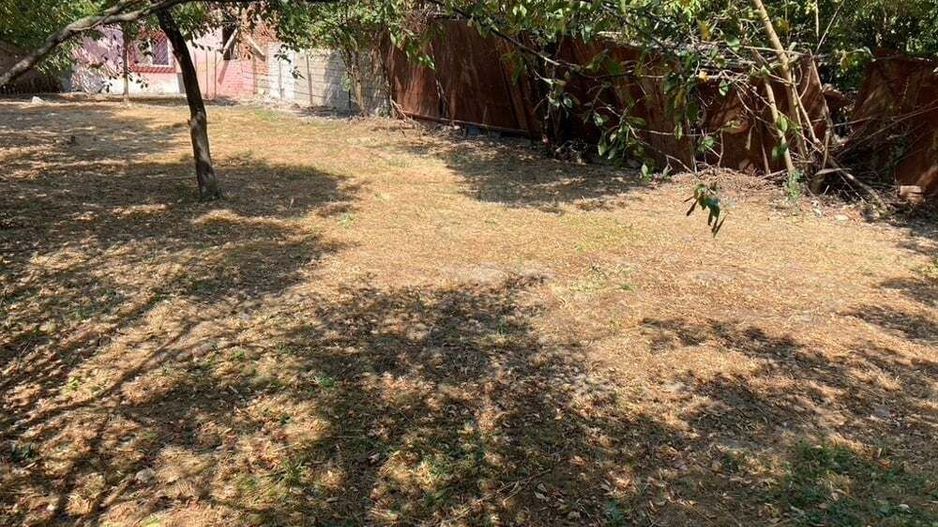 Casă veche pe teren de 540 mp, ideal pentru construcție, în Fratelia - Poză 6