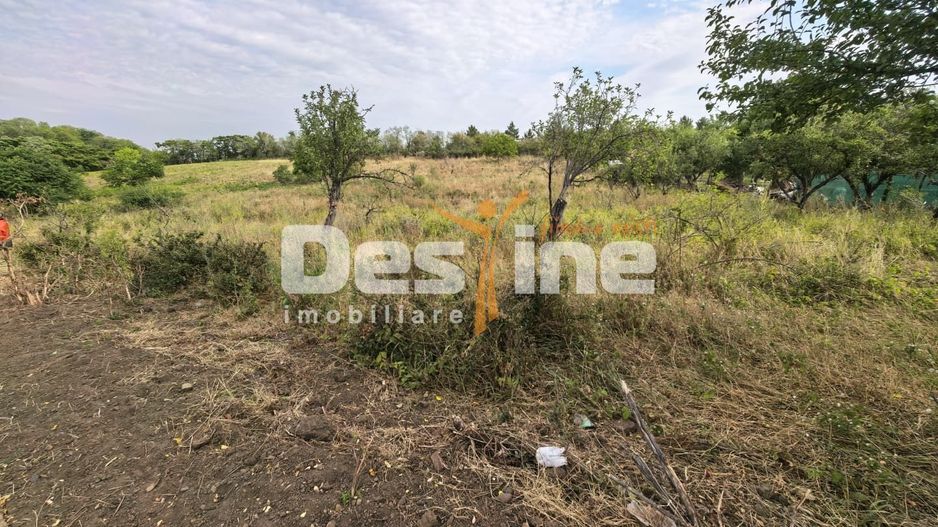 Teren intravilan 2170 mp la drum asfaltat - Chicerea - Poză 3