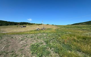 Teren extravilan cu priveliște deosebita, la liziera padurii – Dezmir - Poză 3