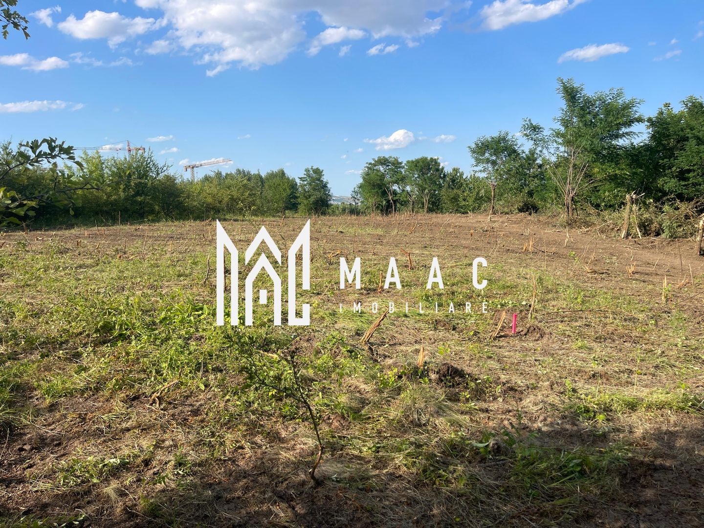 Oportunitate de Investiție Strategică | Teren Intravilan | Colonia Becas - Poză 2