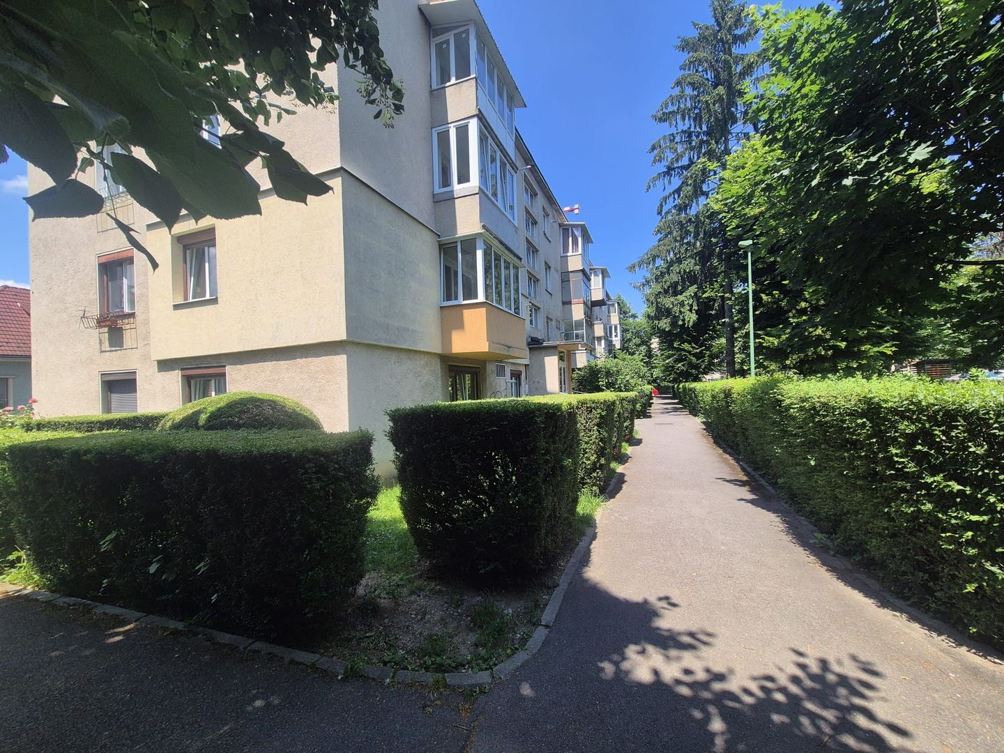 Centru Civic, apartament pet friendly - Poză 3