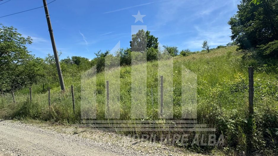 Teren intravilan | 1654 mp | 21 ml deschidere | Seigau - Poză 4