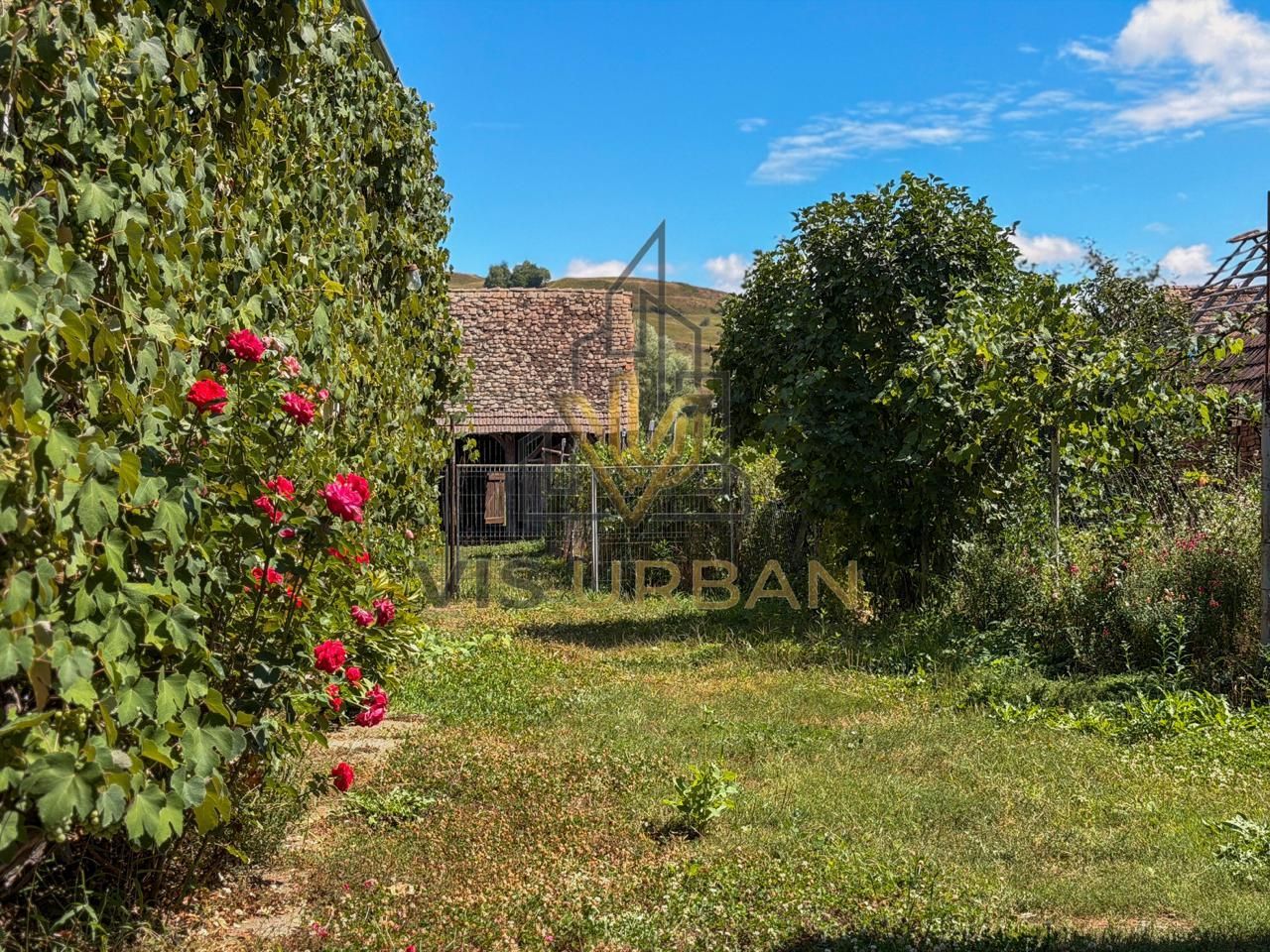 De vânzare casa Pelișor, jud. Sibiu - Poză 2