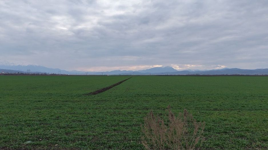 Teren de vânzare – 20.000mp – Ghimbav, lângă Parcul Industrial - Poză 3