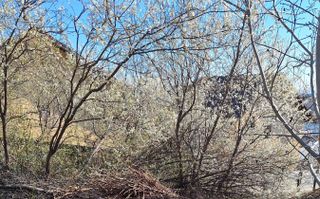 Teren intravilan recomandat ca destinatie rezidentiala, Ezareni - Poză 4